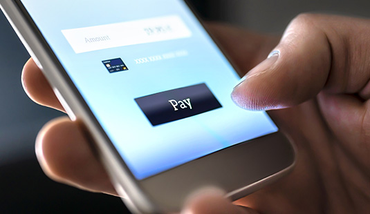 Apple Pay