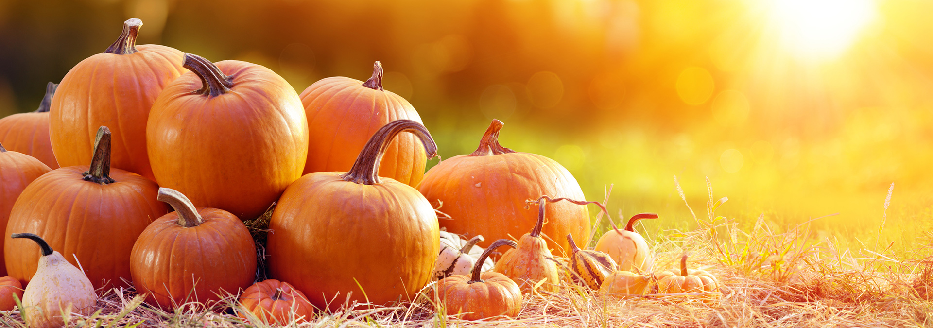 Personal and Business Banking Solutions CT Ion Bank