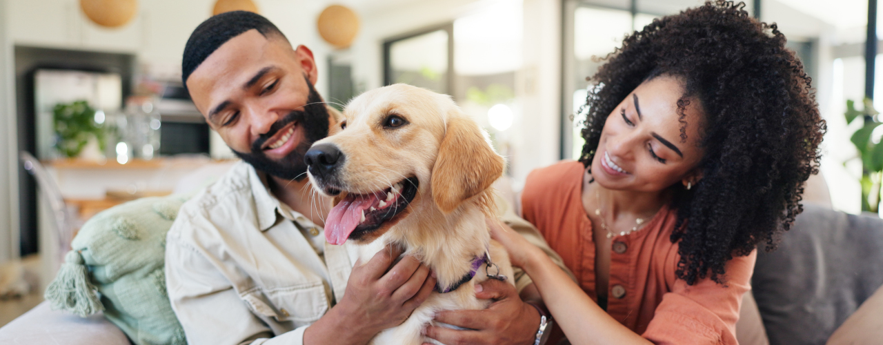 A couple enjoying time at home with their dog